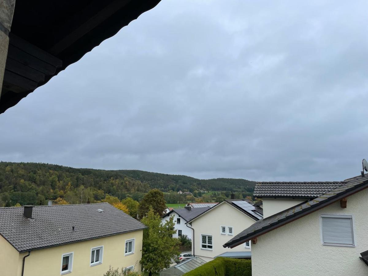 Nittenau Modernes Apartment Mit Top Ausstattung Und Kamin Im Oberpfaelzer Seenland מראה חיצוני תמונה