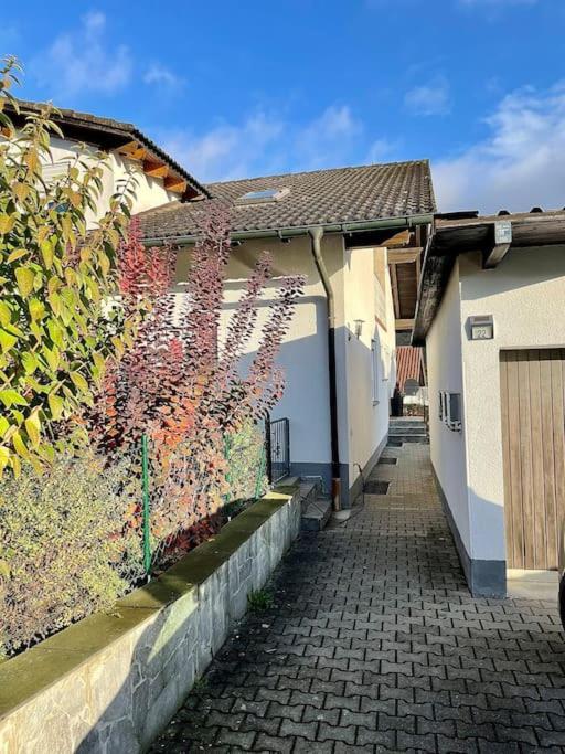 Nittenau Modernes Apartment Mit Top Ausstattung Und Kamin Im Oberpfaelzer Seenland מראה חיצוני תמונה