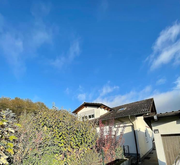 Nittenau Modernes Apartment Mit Top Ausstattung Und Kamin Im Oberpfaelzer Seenland מראה חיצוני תמונה