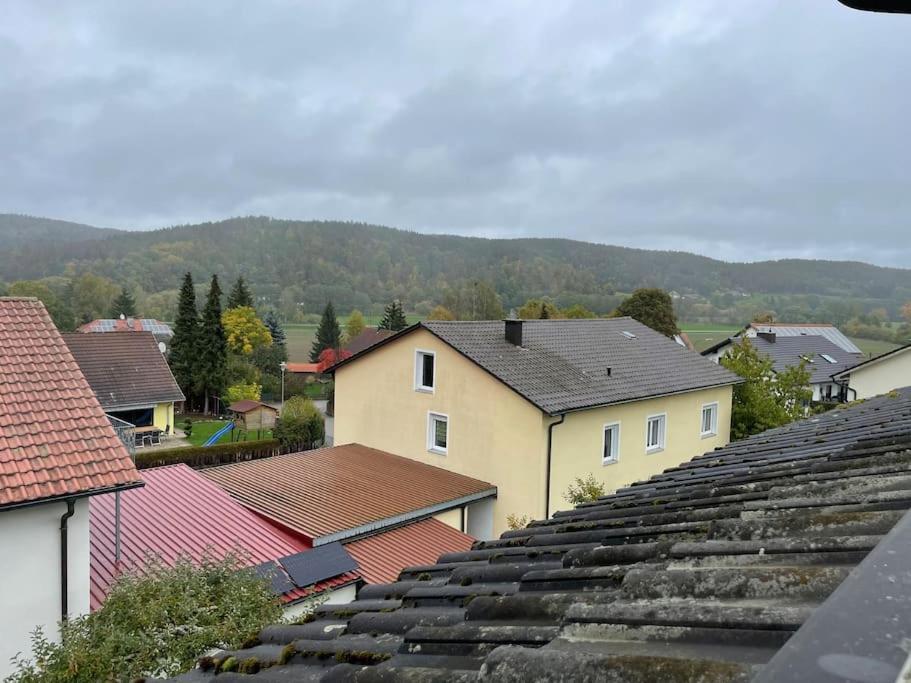 Nittenau Modernes Apartment Mit Top Ausstattung Und Kamin Im Oberpfaelzer Seenland מראה חיצוני תמונה